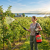 Опрыскиватель помповый ЖУК, телескопическая удочка, 6.0л купить в СОМ